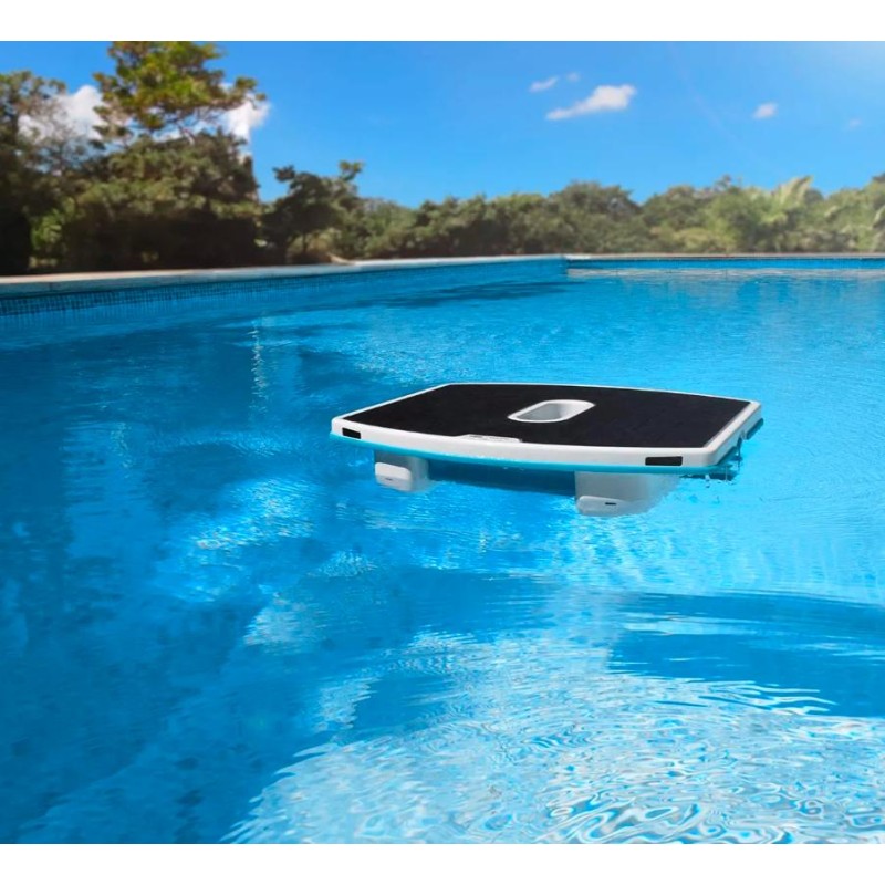 Limpiafondos Piscina Dolphin Skimmi